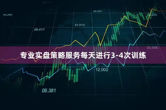 专业实盘策略服务每天进行3-4次训练