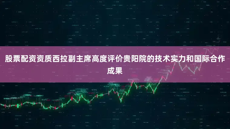 股票配资资质西拉副主席高度评价贵阳院的技术实力和国际合作成果