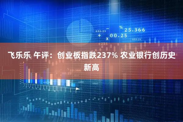 飞乐乐 午评：创业板指跌237% 农业银行创历史新高