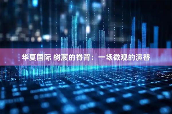 华夏国际 树蕨的脊背：一场微观的演替