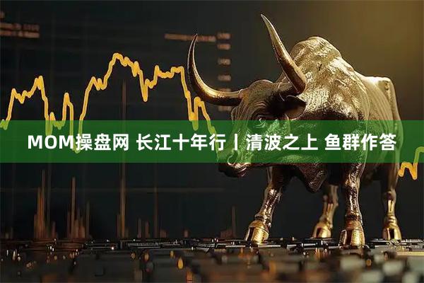 MOM操盘网 长江十年行丨清波之上 鱼群作答