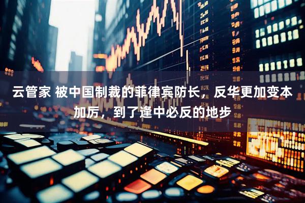 云管家 被中国制裁的菲律宾防长，反华更加变本加厉，到了逢中必反的地步